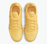 Nike Air VaporMax Plus Women Shoes (17)