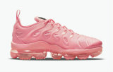 Nike Air VaporMax Plus Women Shoes (18)