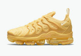 Nike Air VaporMax Plus Women Shoes (17)