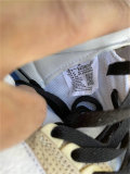 Authentic Fragment x Air Jordan 3