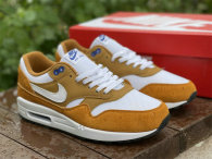 Authentic atmos x Nike Air Max 1 “Curry”