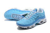 Air Max Plus Shoes - 029