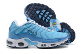 Air Max Plus Shoes - 029