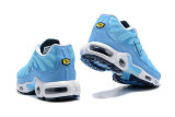 Air Max Plus Shoes - 029