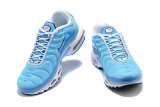 Air Max Plus Shoes - 029
