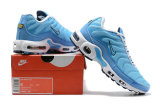 Air Max Plus Shoes - 029