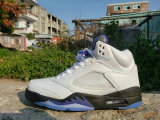 Air Jordan 5 Concords AAA (101)