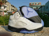 Air Jordan 5 Concords AAA (101)