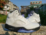 Air Jordan 5 Concords AAA (101)
