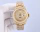 Rolex Watches (833)