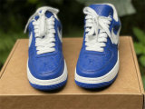 Authentic LV x Nike Air Force 1 Low Blue/White
