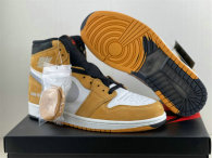 Authentic Air Jordan 1 Element Gore-Tex “Light Curry”