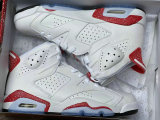 Perfect Air Jordan 6 shoes (41)