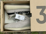 Authentic Y 350 V2 “Beige/Black”
