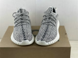 Authentic Y 350 Turtle/Blugra-CWhite