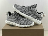 Authentic Y 350 Turtle/Blugra-CWhite