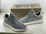 Authentic Y 350 Turtle/Blugra-CWhite