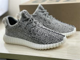 Authentic Y 350 Turtle/Blugra-CWhite