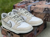 Authentic Nike Dunk Low Grey Warm