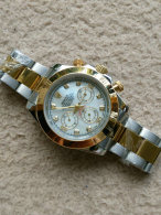 Rolex Watches (1717)