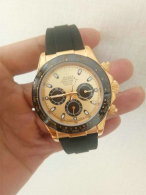 Rolex Watches (1596)