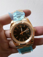 Rolex Watches (1455)