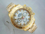 Rolex Watches (1722)