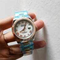 Rolex Watches (1496)