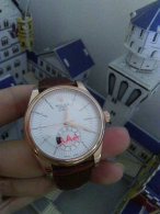 Rolex Watches (1384)
