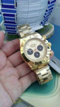 Rolex Watches (1313) Rolex Watches (1313)