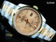 Rolex Watches (1676)