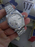 Rolex Watches (935)