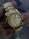 Rolex Watches (1733)