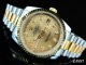 Rolex Watches (1679)
