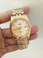 Rolex Watches (1802)