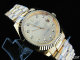 Rolex Watches (1726)