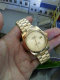 Rolex Watches (1321)