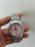 Rolex Watches (1619)