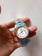 Rolex Watches (1461)