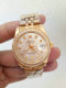 Rolex Watches (1120)