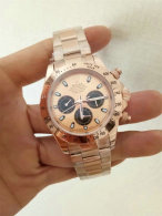 Rolex Watches (1599)