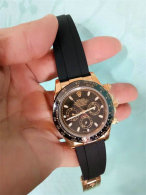 Rolex Watches (1521)