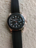 Rolex Watches (1262)