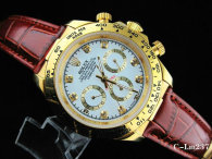 Rolex Watches (1729)