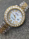 Rolex Watches (1040)
