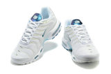 Air Max Plus Shoes - 026