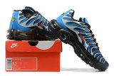 Air Max Plus Shoes - 024