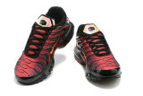 Air Max Plus Shoes - 021
