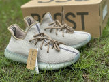 Authentic Y 350 V2 Brown/Green