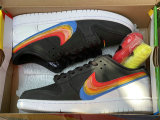 Authentic Polaroid x Nike SB Dunk Low